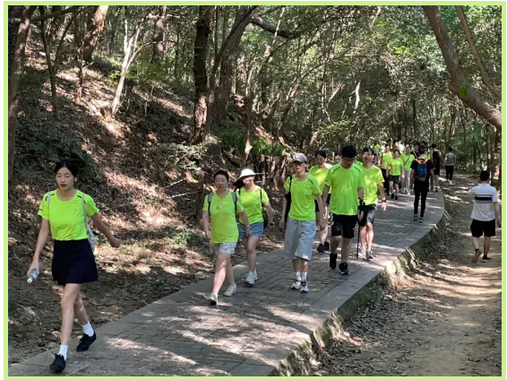 云顶集团·(中国)手机版app下载